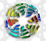 2019 : Une protéine hyper-stable qui s’auto-assemble conçue par des méthodes de raisonnement automatique en IA