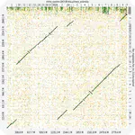 D-GENIES – Dot plot large Genomes in an Interactive, Efficient and Simple way